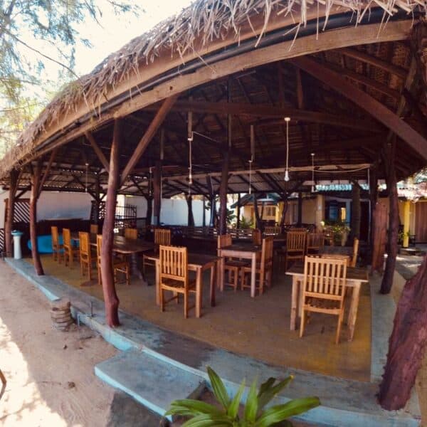 safa surf camp arugam bay sri lanka east coast learn to surf point break stoked surf adventures