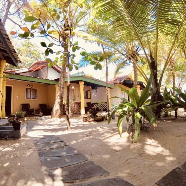 safa surf camp arugam bay sri lanka east coast learn to surf point break stoked surf adventures