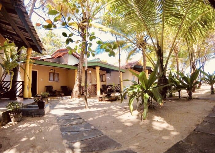 safa surf camp arugam bay sri lanka east coast learn to surf point break stoked surf adventures