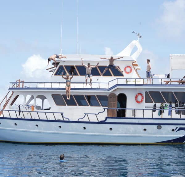 maavahi maldives surf charter outer atolls stoked surf adventures