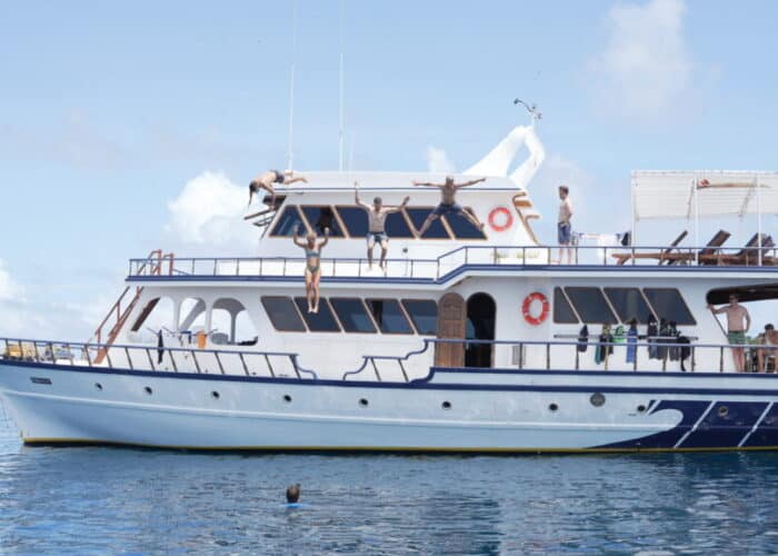maavahi maldives surf charter outer atolls stoked surf adventures