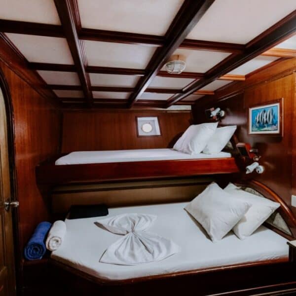 maavahi maldives surf charter outer atolls stoked surf adventures