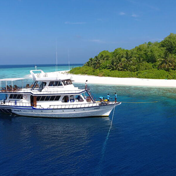 maavhi maldives surf charter male atolls budget stoked surf adventures
