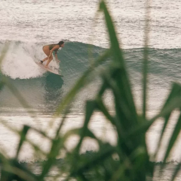 dreamsea surf camp sri lanka ahangama learn to surf