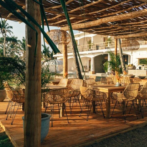 dreamsea surf camp sri lanka ahangama learn to surf