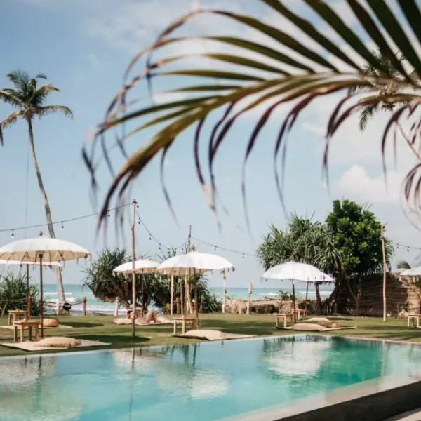 dreamsea surf camp sri lanka ahangama learn to surf