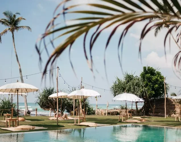 dreamsea surf camp sri lanka ahangama learn to surf