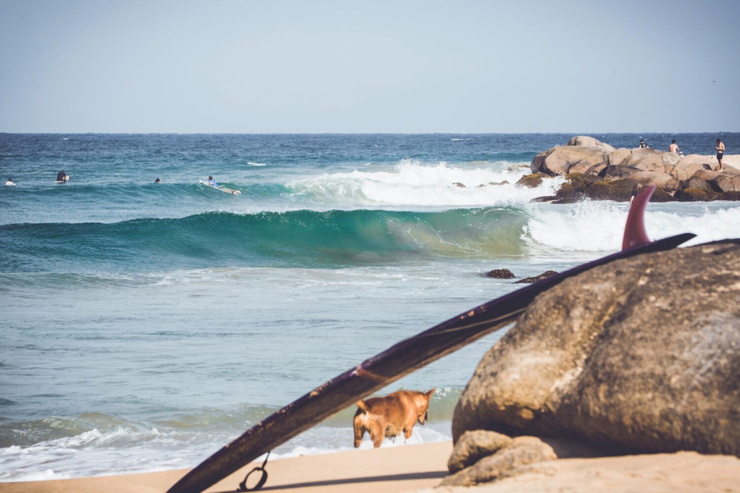 surf n sun arugam bay luxury eco hotel surf camp arugam bay east coast sri lanka surf trip stoked surf adventures