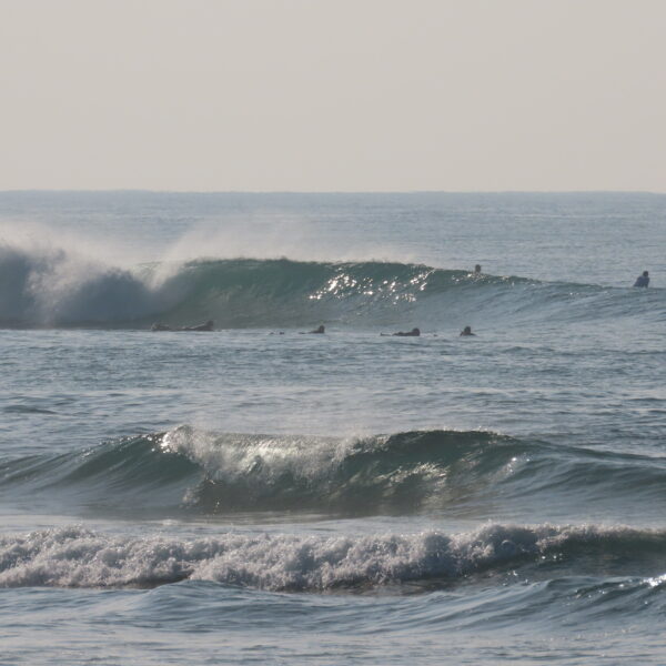 intermediate advanced coaching sri lanka surf coach instructor