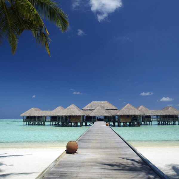 gili lankanfushi maldives surf resort luxury north male atoll stoked surf adventures