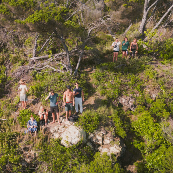 australian surf bus surf camp learn to surf east coast australia sydney brisbane byron bay gold coast urbnsurf