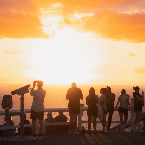 australian surf bus surf camp learn to surf east coast australia sydney brisbane byron bay gold coast urbnsurf