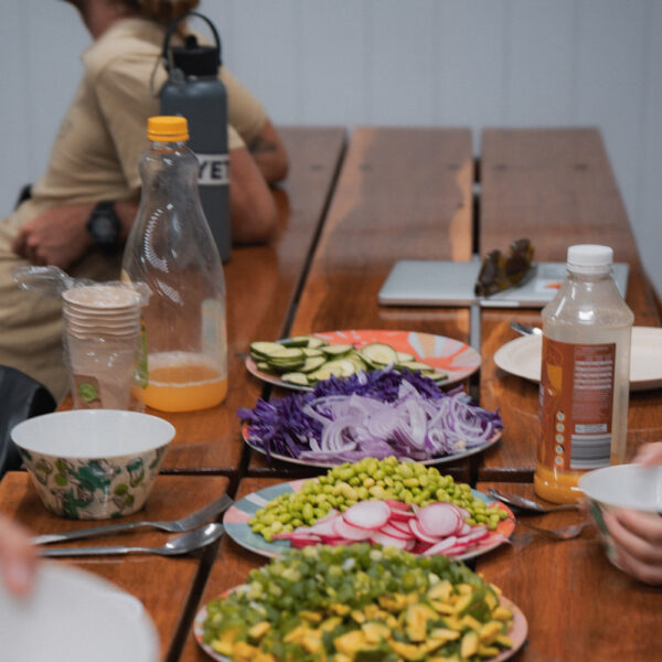 australian surf bus surf camp learn to surf east coast australia sydney brisbane byron bay gold coast urbnsurf