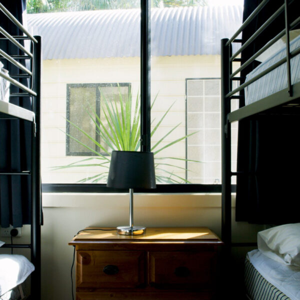 surf camp australia sydney learn to surf surfing camp east coast stoked surf adventures