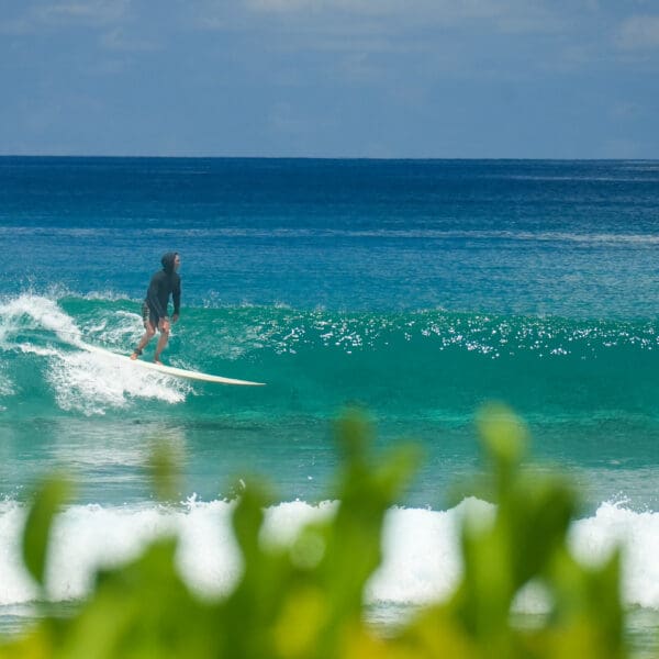 taylor jensen luxury maldives surf retreat niyama private islands stoked surf adventures