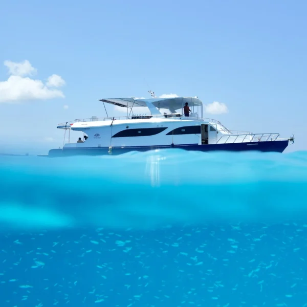 Misraab maldives surf charter group tour male atolls stoked surf adventures island hop 2