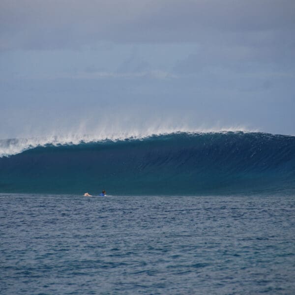 fiji surf resort fiji surf trip waidroka bay resort stoked surf adventures