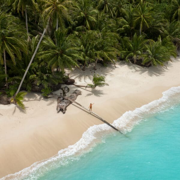awera resort mentawai islands luxury surf trip stoked surf adventures
