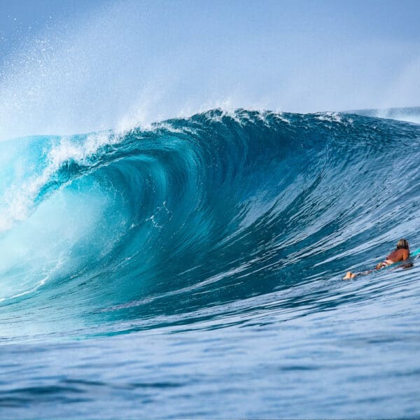 awera resort mentawai islands luxury surf trip stoked surf adventures