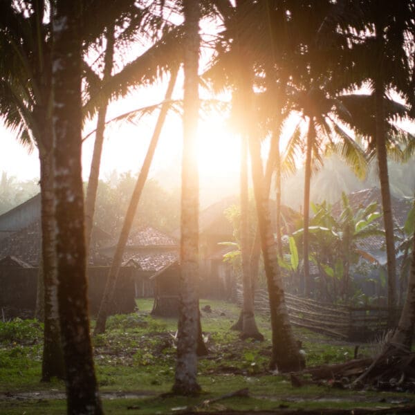 amys place krui sumatra indonesia surf trip stoked surf adventures surf camp