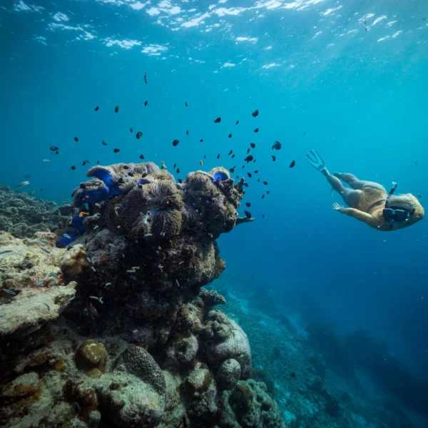 ayada maldives resort non surfing activities