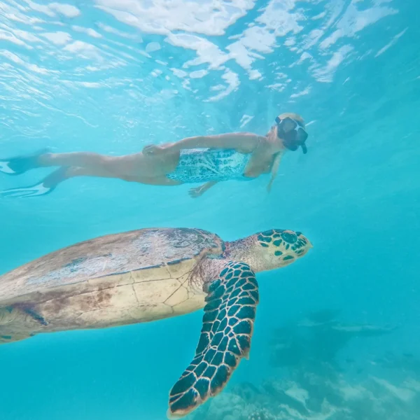 ayada maldives resort non surfing activities
