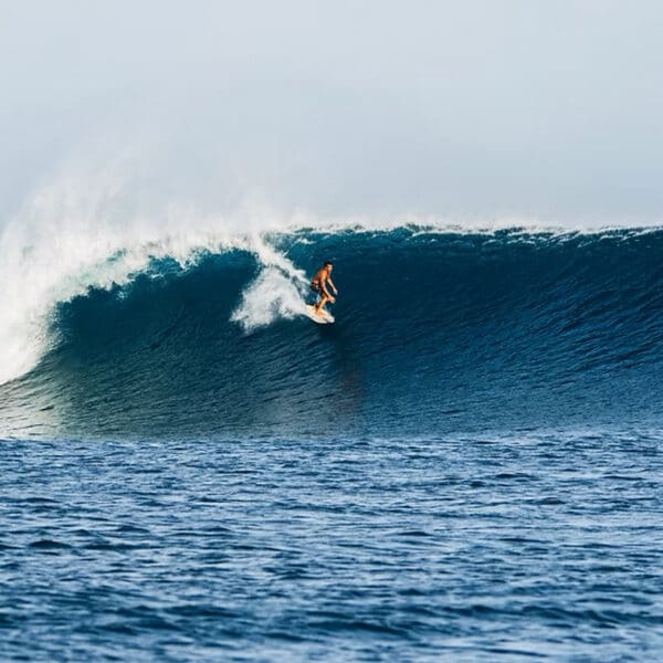 twin palms beach house thulusdhoo maldives surf trip stoked surf adventures