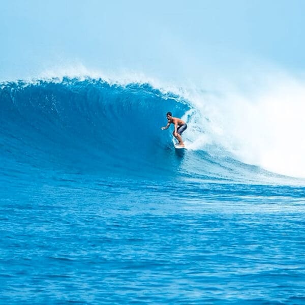 twin palms beach house thulusdhoo maldives surf trip stoked surf adventures