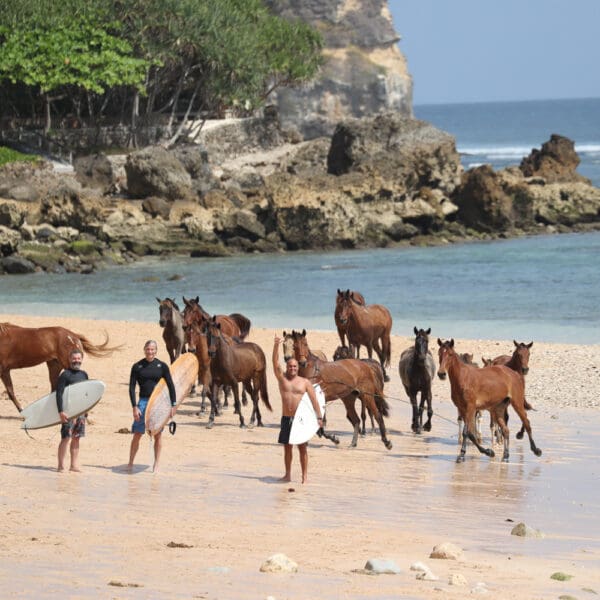 nihi sumba indonesia luxury surf resort occys left gods left exclusive wave stoked surf adventures