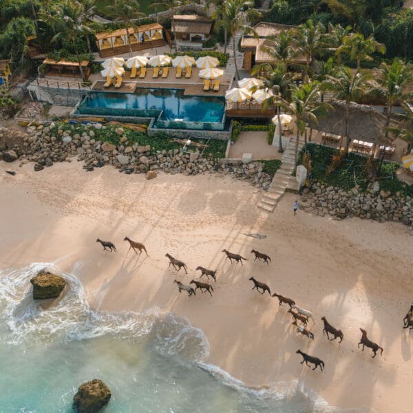 nihi sumba indonesia luxury surf resort occys left gods left exclusive wave stoked surf adventures
