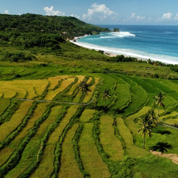 nihi sumba indonesia luxury surf resort occys left gods left exclusive wave stoked surf adventures